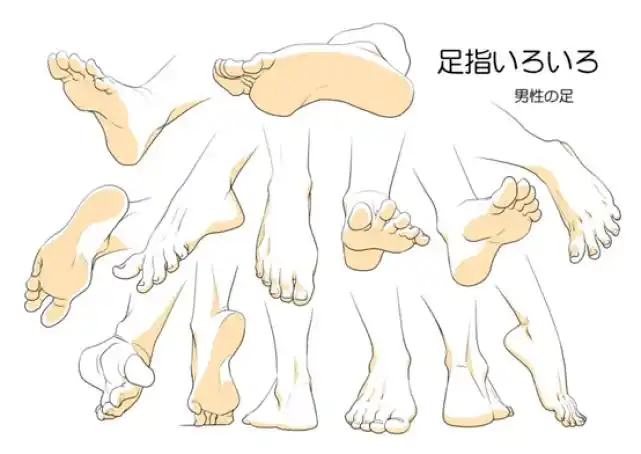 小白如何画脚米塔在线详细教程_脚趾_大部分_线条