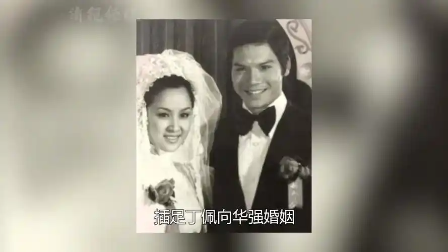 向太陈岚也是小三出身?插足丁佩向华强婚姻,上位后管前妻叫姐姐