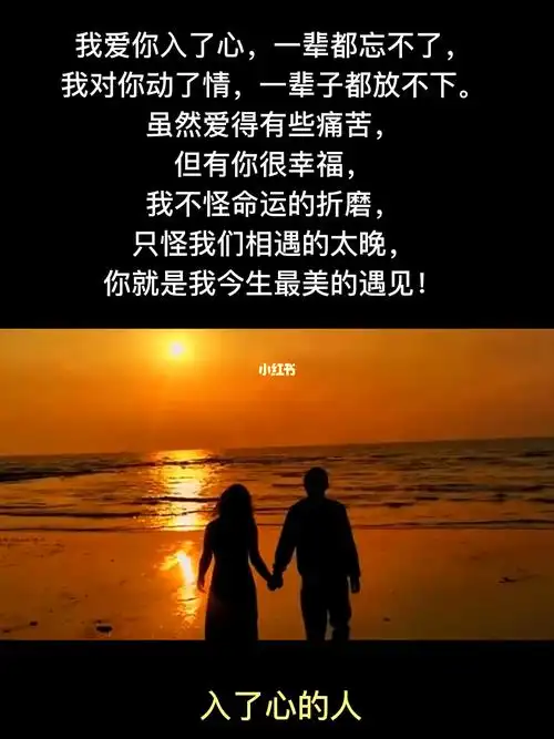 我爱你入了心,一辈都忘不了,我对你动了情,一辈子都放不下,虽然爱得有
