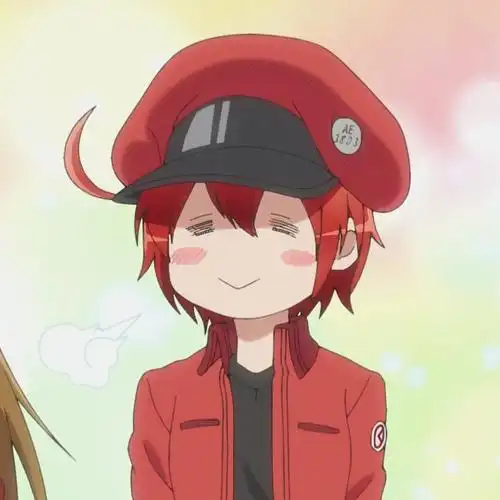 工作细胞红细胞