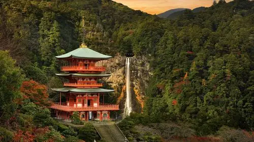 秋天的日本美到窒息