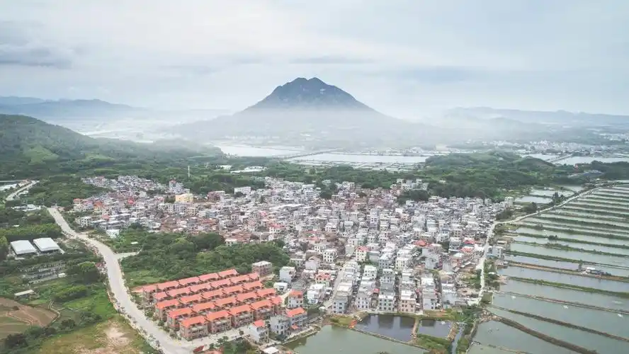 (资料图 太平镇提供)▲诏安县霞葛镇司下村依托八仙茶园景观与客家