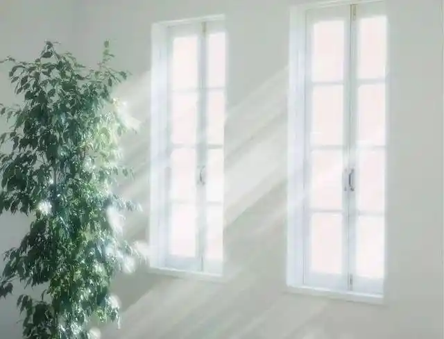 一束阳光的奇迹