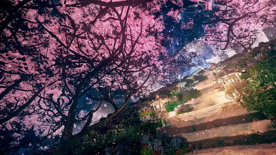 樱花之路插画图片壁纸