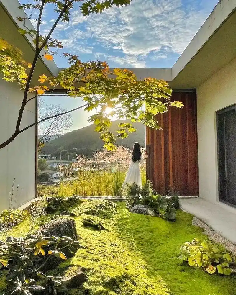 我家的室内花园可以看到远处的风景90我家的小后 - 抖音