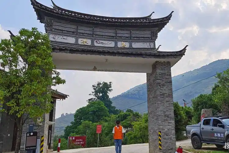 美陈号带你巡茶山 | 冰岛老寨