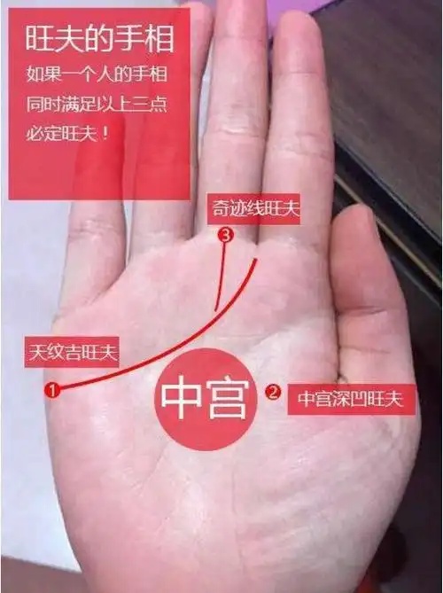 这种手相的人,注定是旺夫命,娶了好运一生