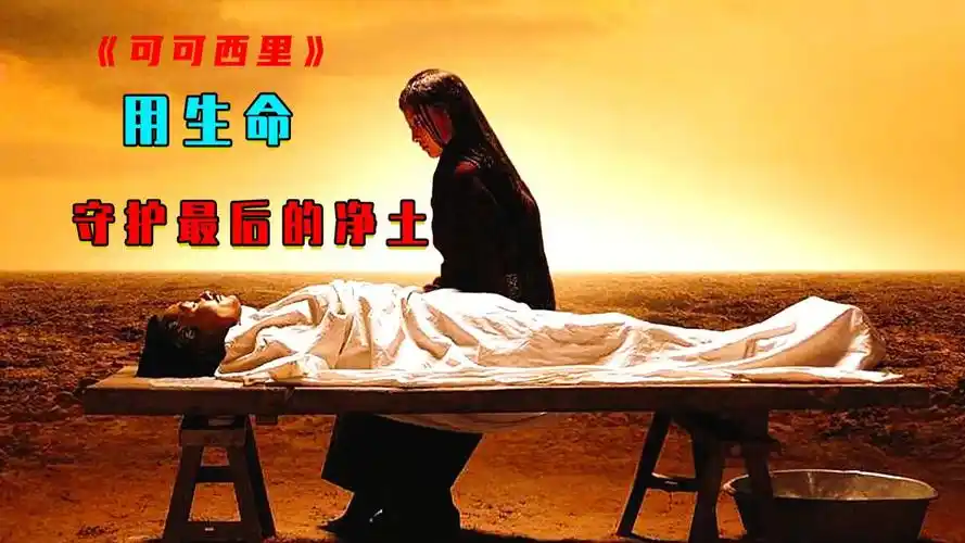 这部用生命换来的国电影!票房却仅仅只有600万《可可西里》