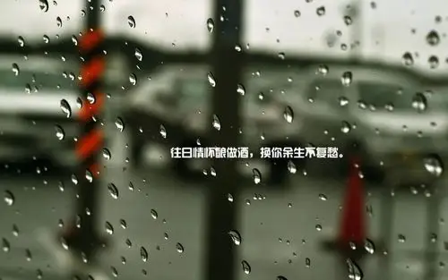 比如离别时流下的眼泪无声地淌过脸颊,那时脆弱谁又会体会到谁的无助