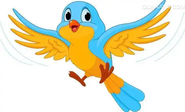 卡通鸟 卡通鸟图片大全可爱 - 水彩迷