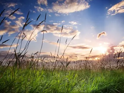 双语阅读恋空第九回