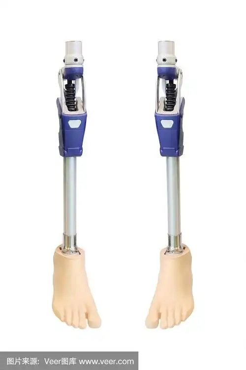 假肢,动物腿,健康保健,一个物体,损失