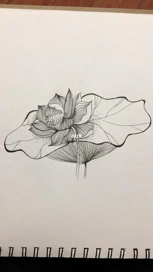 线条画简单线条画简单好看易画