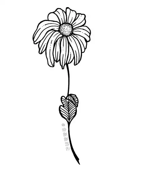 三款适合零基础画的小雏菊,简单又好看,而且一只中性笔就可以