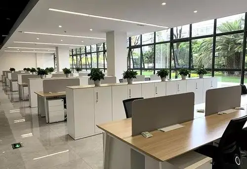 贝泰妮生物科技有限公司-龙讯办公解决方案