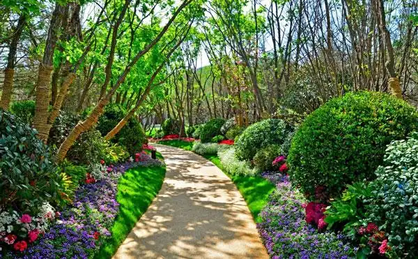 小区植物景观设计中空间美学的体现