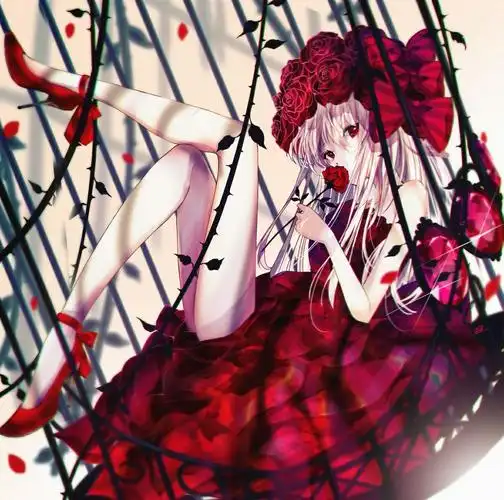 p站美图推荐——红蔷薇特辑-动漫之家新闻站