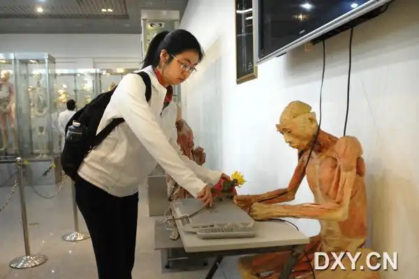 丁香园论坛 - 专业医生社区,医学,药学,生命科学,科研学术交流