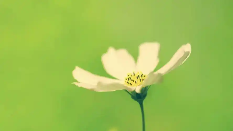 刷qq赞数群,qq刷钻永久免费