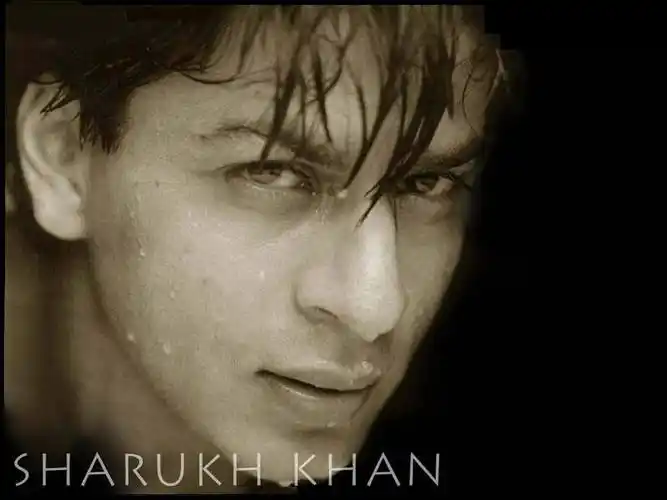 粉丝由爱转恨有多可怕脑残粉影评