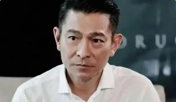 在娱乐界的璀璨星辰中,刘德华的名字熠熠生辉,他曾是华语乐坛与影坛的