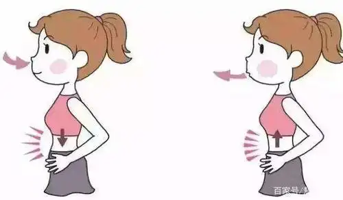 腰腹部这个发力点是怎样形成的呢?它是