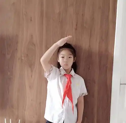 三(17)班少先队敬礼