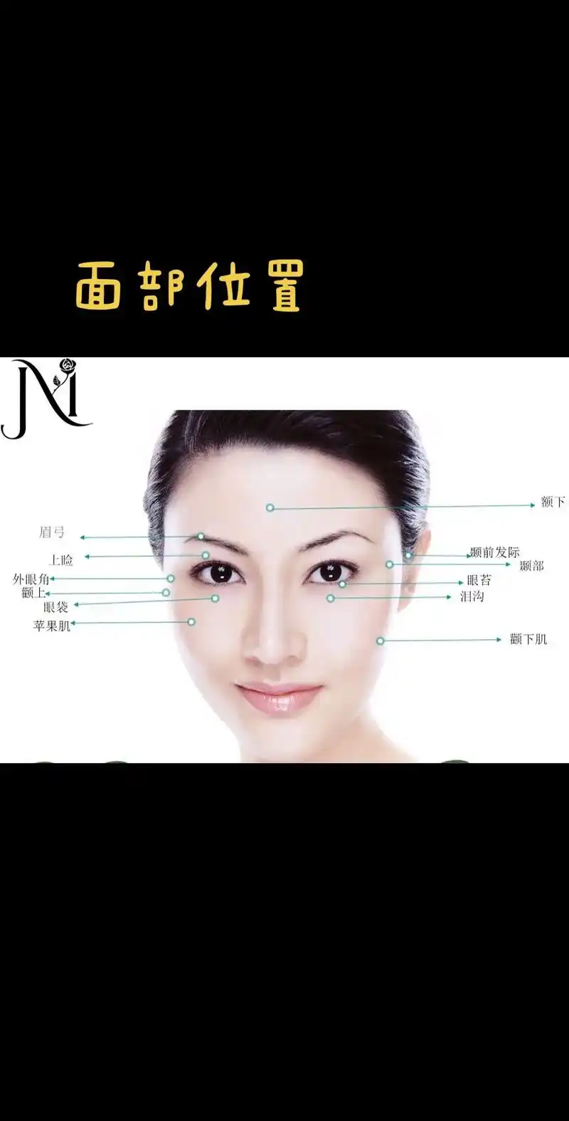 面部轮图解,面部图片结构 - 抖音