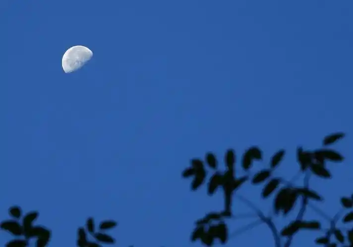 半个月亮爬上来