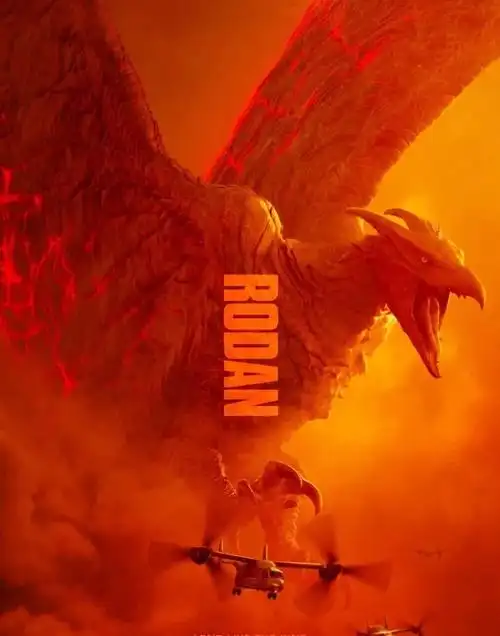 碧奥兰蒂基多拉