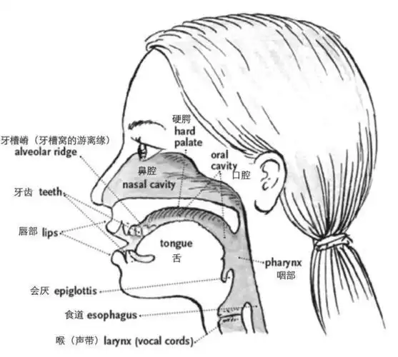 你真的了解头腔共鸣吗来看看这位欧洲著名男高音的演绎吧