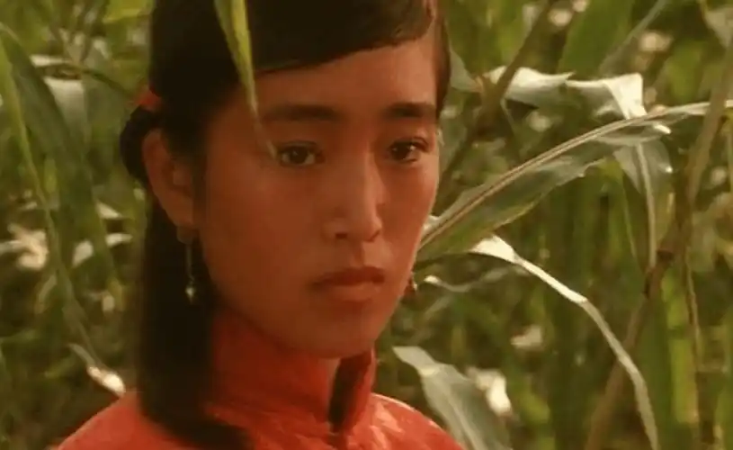 范冰冰的电影都没有查资料