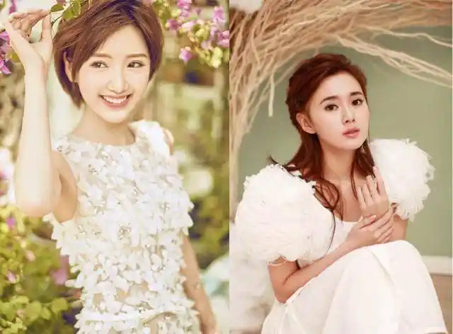 还是毛晓彤设局陷害陈翔?这个瓜看不懂_江铠_郑爽_身份