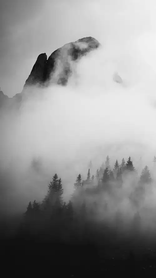 12张简约好看的黑白高清手机壁纸 张张都很经典!