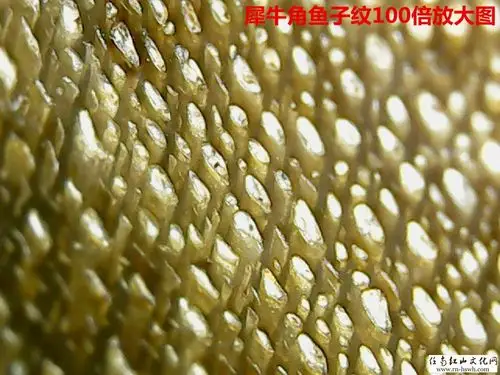 犀牛角鱼子纹高清放大图赏析