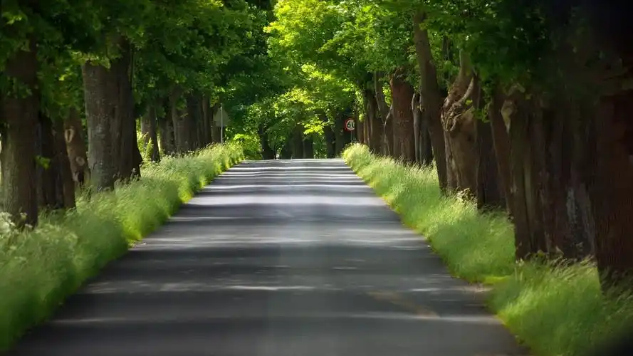 护眼壁纸【602】壁纸是一款电脑壁纸,属于小清新分类