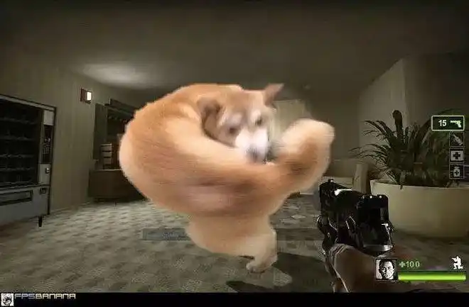 肌肉猛男狐狸和挥拳凶狗鬼畜的日本网友沙雕起来连自己都怕