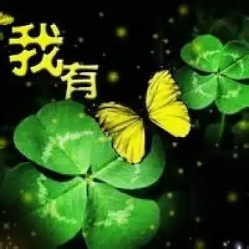 象征幸运的四叶草,风景头像图片-回车桌面