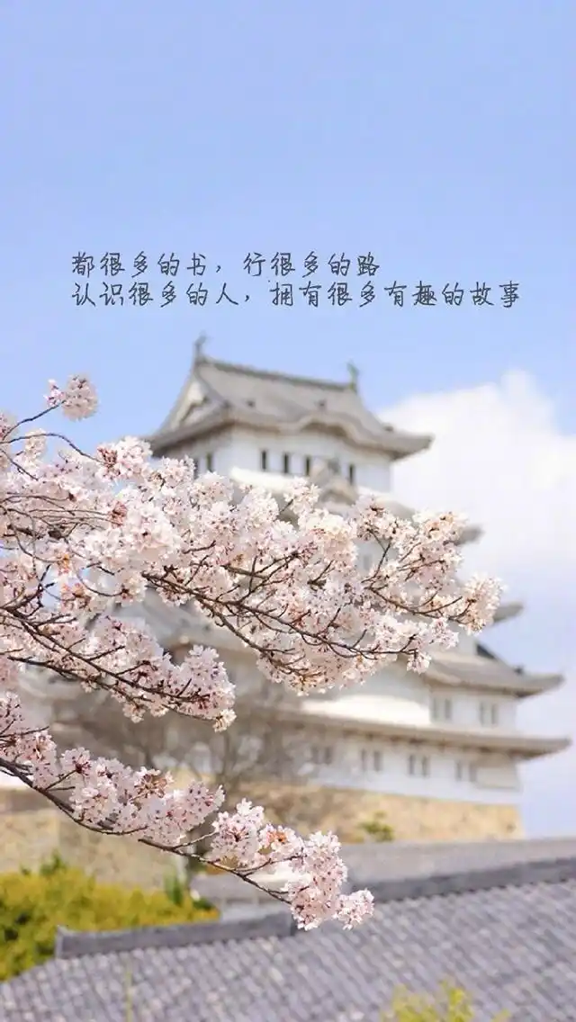 自勉励志文字图片高清手机壁纸