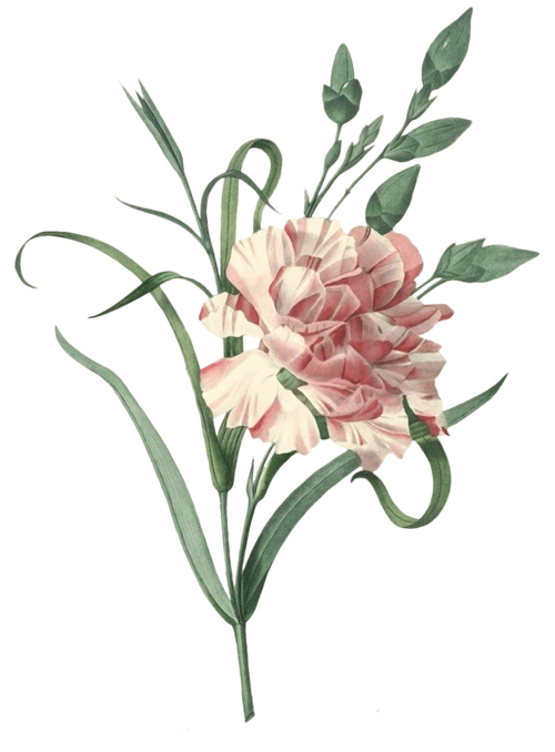 png高清免扣素材