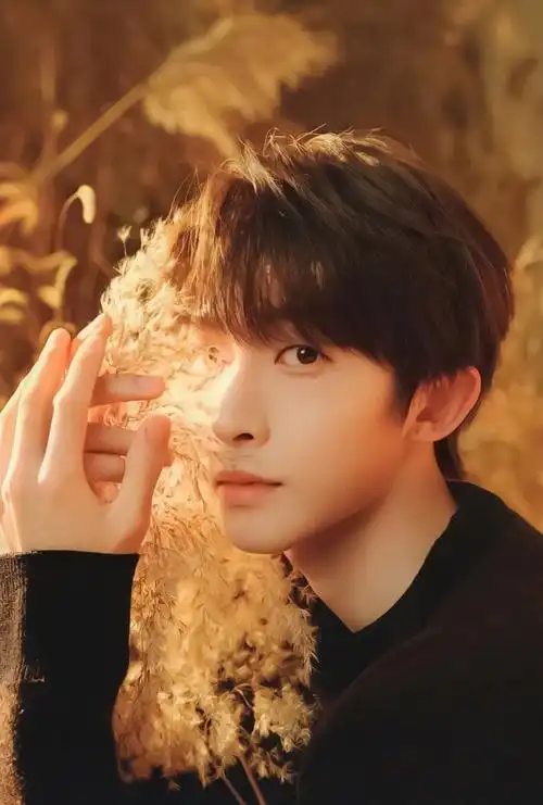 刘宇秋日落叶氛围感大片