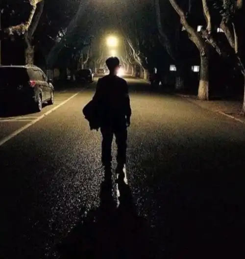 闪烁的灯光穿过手指缝,孤独地狂舞.