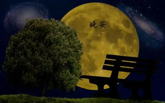 浪漫的晚安带字图片