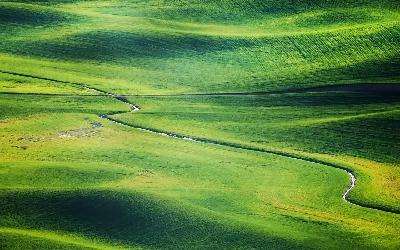 绿色大草原自然风光图片电脑壁纸