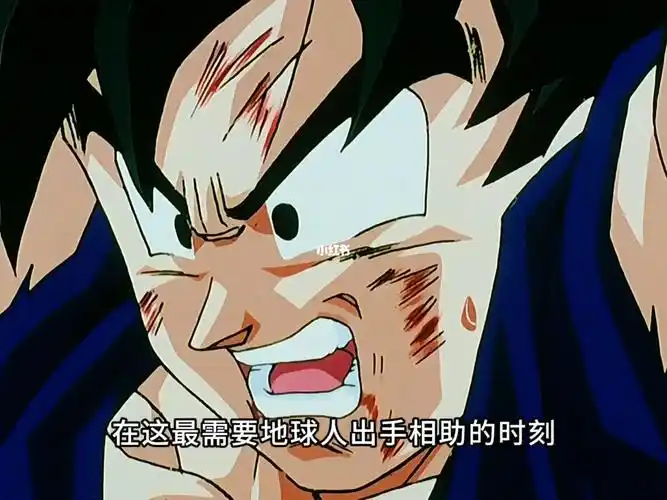 龙珠布欧篇第36集