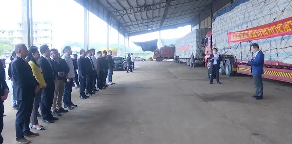 澄迈瓜菜直销杭州良渚市场首日发车300吨