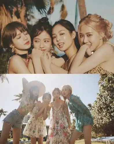 特别是看到了blackpink官方最近刚发的夏威夷写真拍摄,那种充满热带