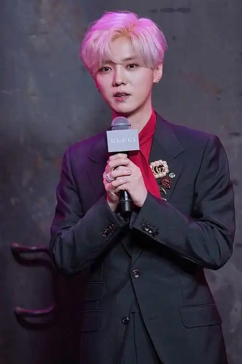 穿西服的男人就是帅,鹿晗染粉头发穿黑西装,实在太帅了