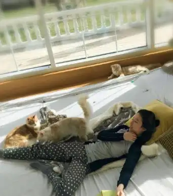 娱乐圈最知名的猫奴,刘亦菲收养了60多只流浪猫,无愧女神之名_电影