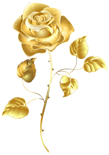 黄金色一朵玫瑰花